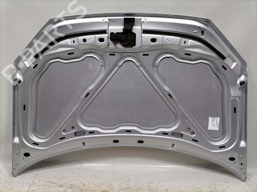 Hood VW NEW BEETLE (9C1, 1C1) 1.6 | BP31771234C1