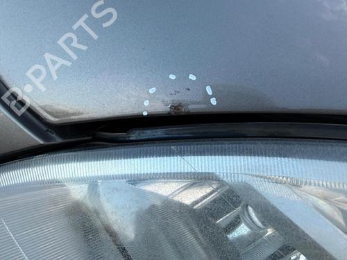 Hood LANCIA MUSA (350_) 1.4 (350.AXA11, 350.AXA1A) | BP31792200C1