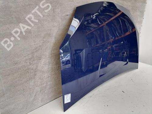 Capot DACIA SANDERO 1.4 (BS0C, BS0A, BS0G, BS1F, BS0E) | BP31772538C1 