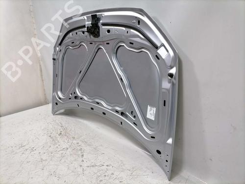 Hood VW NEW BEETLE (9C1, 1C1) 1.6 | BP31771234C1