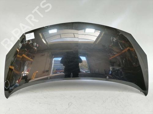 hood-renault-twingo-ii-cn0_-2007-31774865 main image