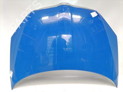 hood-skoda-fabia-ii-542-2006-2007-2008-2009-2010-2011-2012-2013-2014-31774075 main image