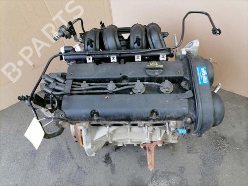 Motor für FORD FIESTA VI (CB1, CCN) 1.25 (60 hp) 31774774