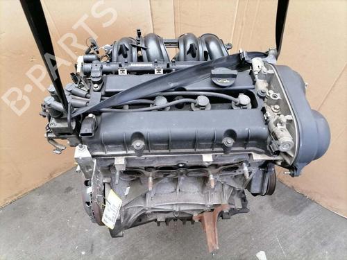 Motor für FORD FOCUS II (DA_, HCP, DP) 1.6 Ti (115 hp) 31773796