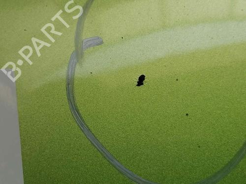 Hood HYUNDAI i20 I (PB, PBT) 1.4 | BP31774644C1