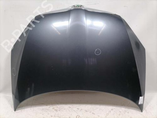 hood-skoda-fabia-ii-542-2006-2007-2008-2009-2010-2011-2012-2013-2014-32031479 main image