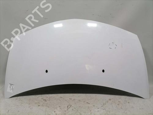 hood-renault-clio-iii-br01-cr01-2005-2006-2007-2008-2009-2010-2011-2012-2013-2014-31774669 main image