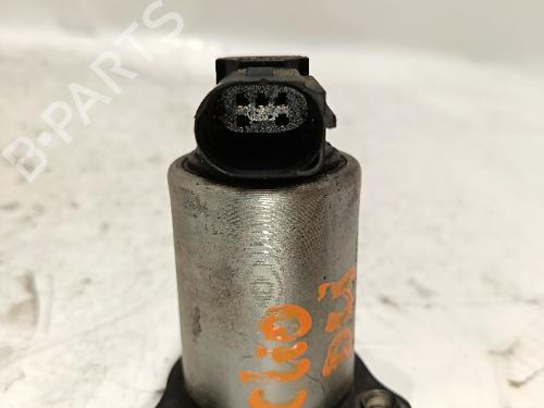 Egr RENAULT CLIO II (BB_, CB_)  | BP30031067M69 