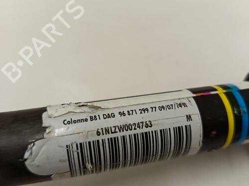 Ratstammeenhed CITROËN DS5 2.0 HDi 165 Hybrid4 4x4 | BP30032198M21 