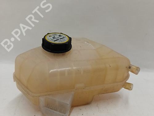 Used Expansion tank FORD FIESTA VI (CB1, CCN) 1.4 LPG (92 hp) 30031782