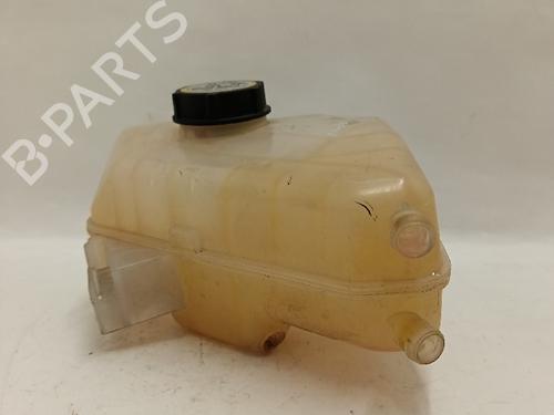 Expansion tank FORD FIESTA VI (CB1, CCN) 1.4 LPG | BP30031782C120