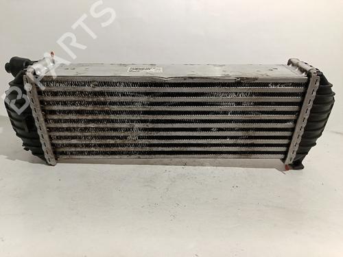 Used Intercooler RENAULT KANGOO (KC0/1_) [1997-2025]  30029000