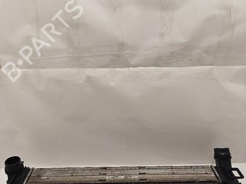 Used Intercooler RENAULT MEGANE III Grandtour (KZ0/1) [2008-2016]  30032345