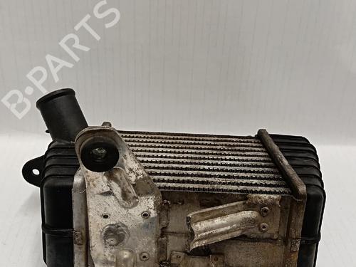 Intercooler HYUNDAI GETZ (TB)  | BP30033661M30 