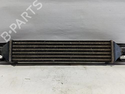 Intercooler FIAT GRANDE PUNTO Van (199_) [2005-2013]  30034175