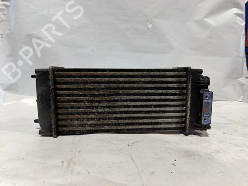 Intercooler PEUGEOT 307 (3A/C)  | BP30034691M30 