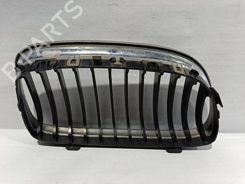 Grille BMW 3 (E90)  | BP30034915C40 