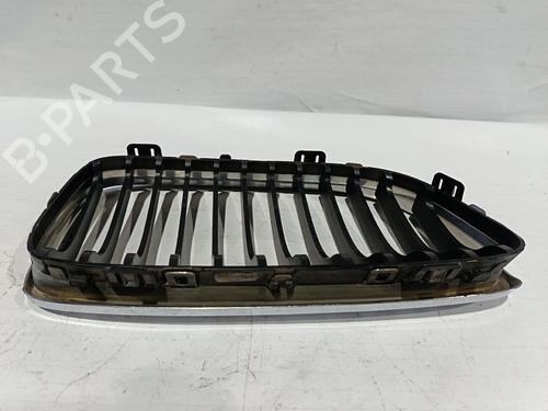 Grille BMW 3 (E90)  | BP30034915C40 
