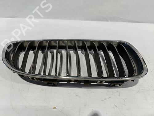 Grill BMW 3 (E90) [2004-2012]  30034916