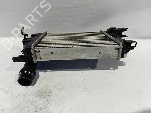 Intercooler RENAULT CLIO IV (BH_) | BP30034987M30