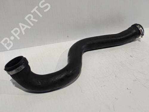 Intercooler-rør  RENAULT GRAND SCÉNIC II (JM0/1_) [2004-2009]  30036076