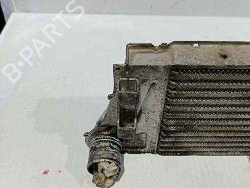 Intercooler RENAULT SCÉNIC II (JM0/1_) 1.5 dCi (JM0F) | BP30036096M30