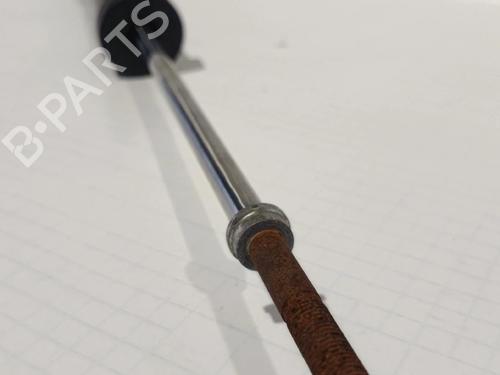 Right rear shock absorber NISSAN MICRA IV (K13K, K13KK)  | BP30036266M19 