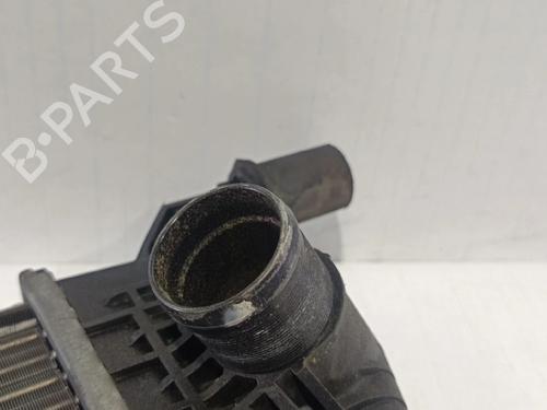 Water radiator RENAULT MEGANE III Grandtour (KZ0/1)  | BP30036417M31 