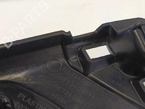 Step CITROËN DS5 2.0 HDi 165 Hybrid4 4x4 | BP30036538C149 