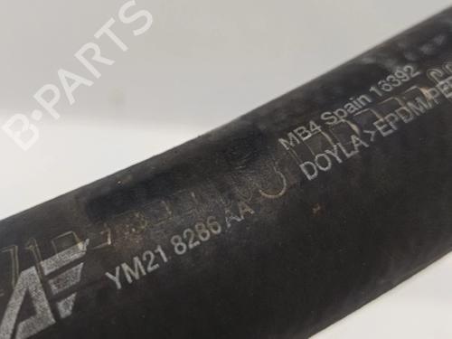 Rohr VW PASSAT B5.5 (3B3)  | BP30036816M125 