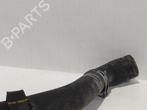 Rohr VW PASSAT B5.5 (3B3)  | BP30036816M125 