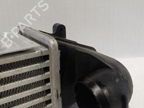Intercooler / Chłodnica powietrza doładowującego FORD GALAXY MK I VAN (WGR)  | BP30036967M30 