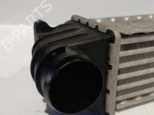 Intercooler / Chłodnica powietrza doładowującego FORD GALAXY MK I VAN (WGR)  | BP30036967M30 