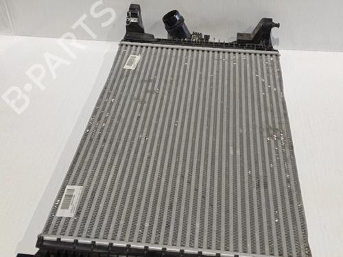 Used Intercooler MERCEDES-BENZ A-CLASS (W177) A 200 (177.087) (150 hp) 30037291
