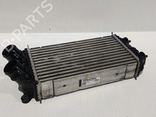 Intercooler PEUGEOT 2008 II (UD_, US_, UY_, UJ_, UR_, UC_) 1.2 PureTech 100 (USHNK) (101 hp) 30037279