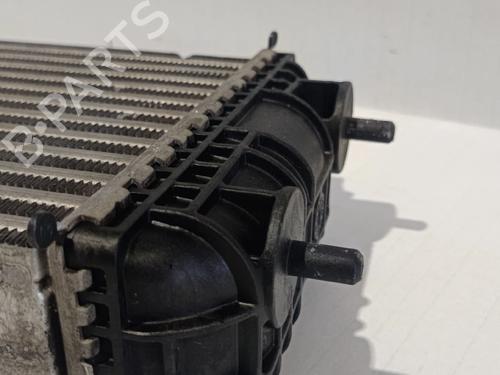 Intercooler PEUGEOT 2008 II (UD_, US_, UY_, UJ_, UR_, UC_) 1.2 PureTech 100 (USHNK) | BP30037279M30