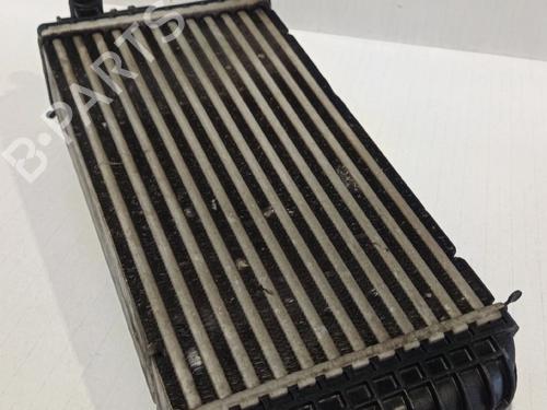 Intercooler PEUGEOT 2008 II (UD_, US_, UY_, UJ_, UR_, UC_) 1.2 PureTech 100 (USHNK) | BP30037279M30
