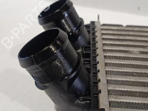 Intercooler PEUGEOT 2008 II (UD_, US_, UY_, UJ_, UR_, UC_) 1.2 PureTech 100 (USHNK) | BP30037279M30