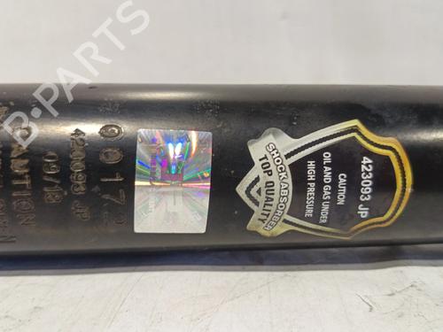 Right rear shock absorber FIAT DOBLO Box Body/MPV (223_)  | BP30038746M19 