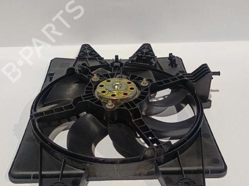 Radiator fan FIAT DOBLO Box Body/MPV (223_)  | BP30038789M35
