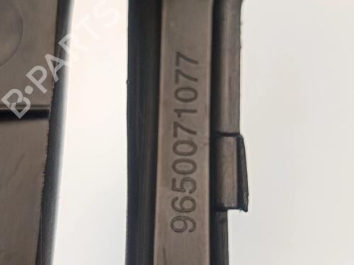 Middle console PEUGEOT 207 (WA_, WC_)  | BP30038799I22 