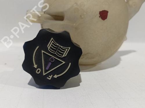 Expansion tank PEUGEOT 207 (WA_, WC_)  | BP30038916C120