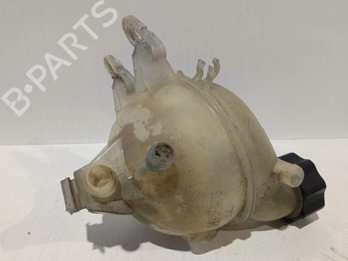 Expansion tank PEUGEOT 207 (WA_, WC_)  | BP30038916C120