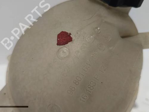 Expansion tank PEUGEOT 207 (WA_, WC_)  | BP30038916C120