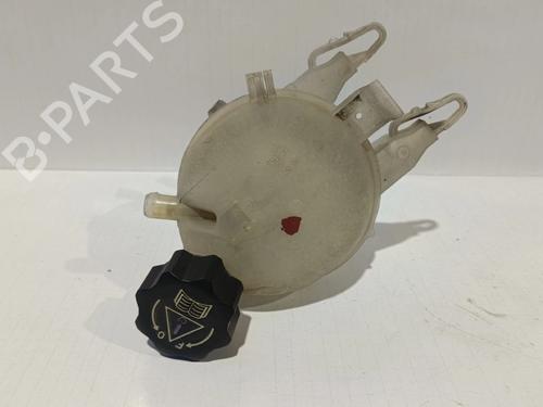 Used Expansion tank PEUGEOT 207 (WA_, WC_) [2006-2015]  30038916