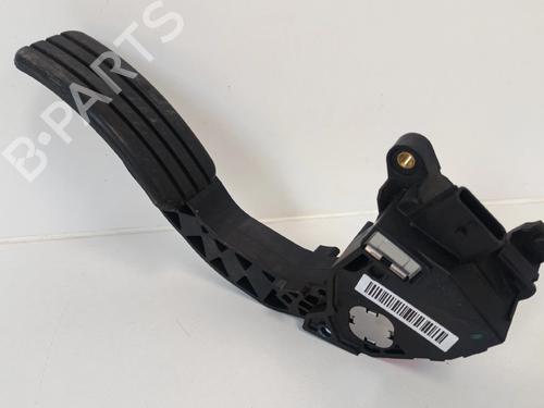 Pedal RENAULT SCÉNIC III (JZ0/1_) [2008-2016]  30039262