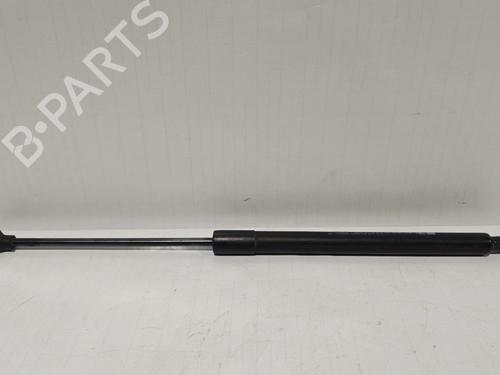 tailgate-lift-support-renault-clio-iv-bh_-2012-2013-2014-2015-2016-2017-2018-2019-2020-2021-30039484 main image