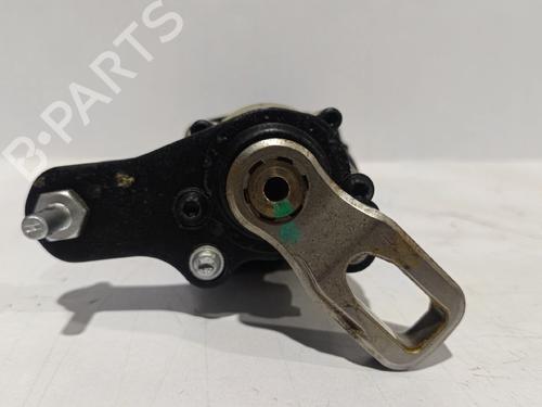 Tailgate lift support AUDI Q5 (8RB)  | BP30039661C138