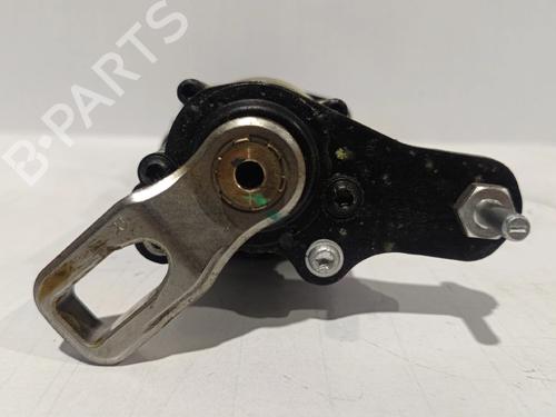 Tailgate lift support AUDI Q5 (8RB)  | BP30039660C138 