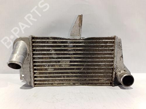 Intercooler TATA 207 Pickup [1996-2007]  30040273